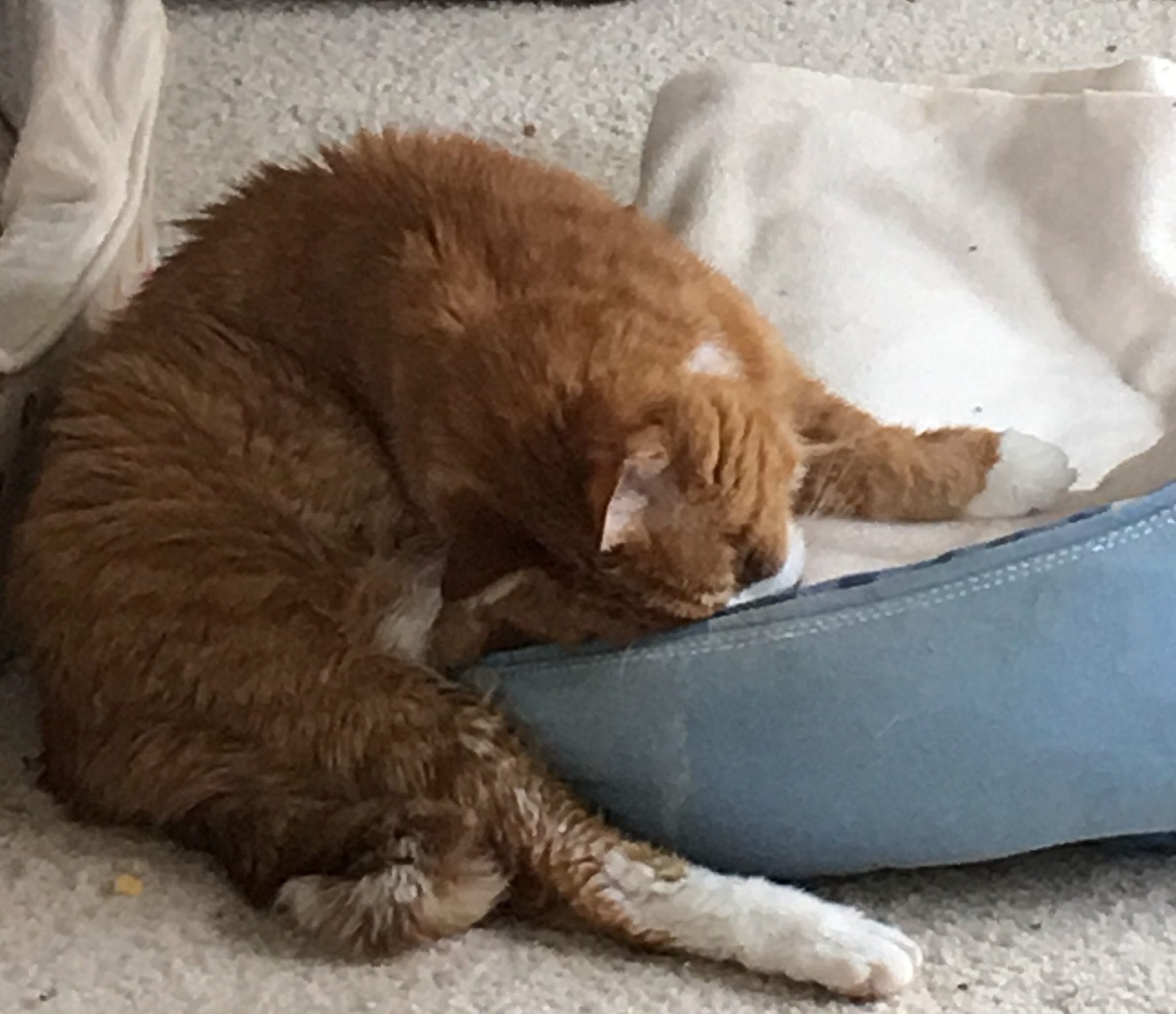 ARfZaixJymZYn_LqqYUeeqQVQubi